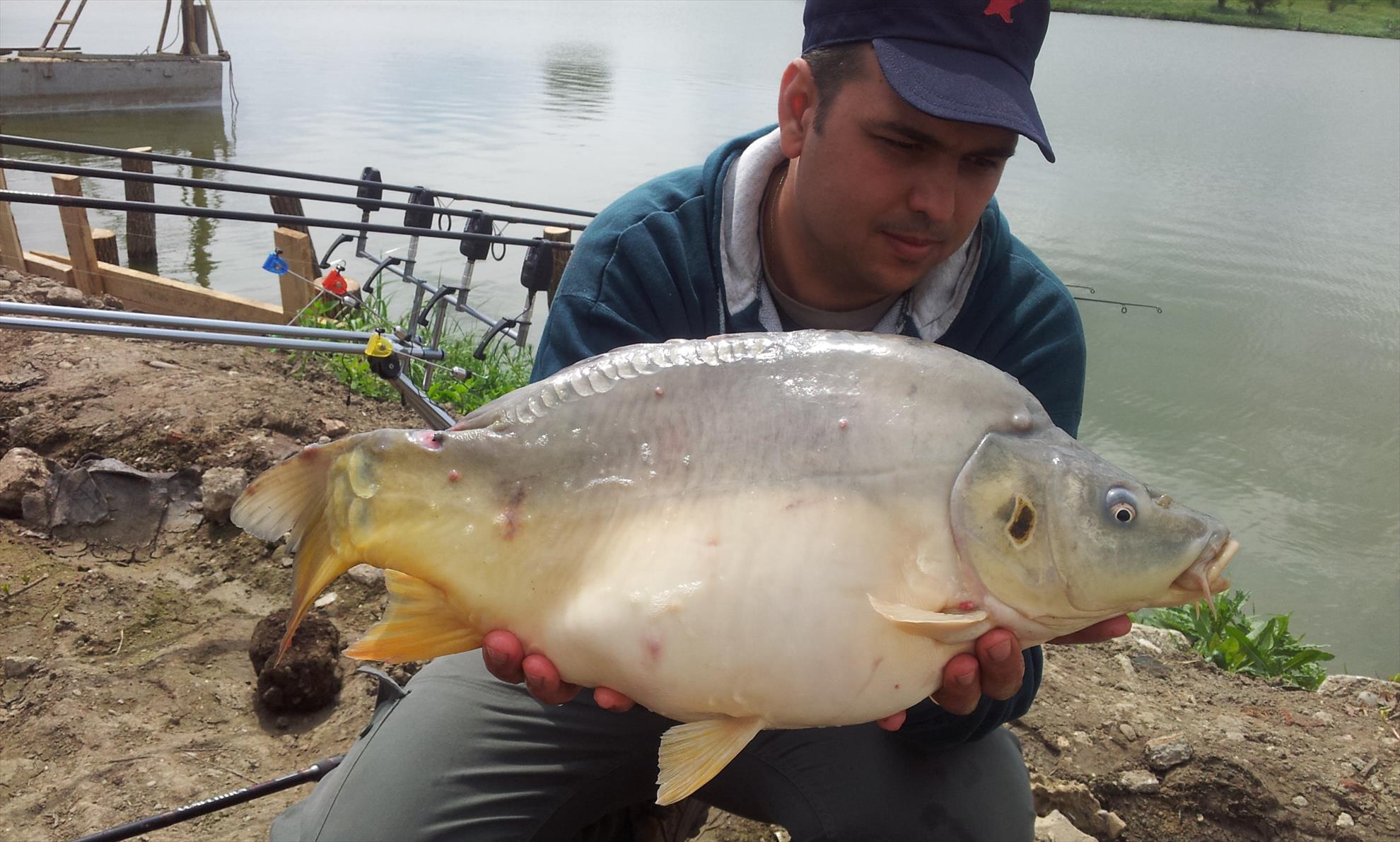 Hermes Peris 27 aprilie 2014 - 20140427141203.jpg